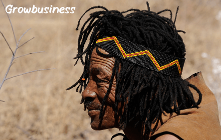 Botswana Business Grants