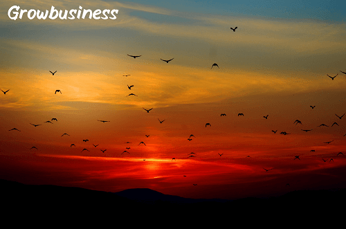 Global Business Summit