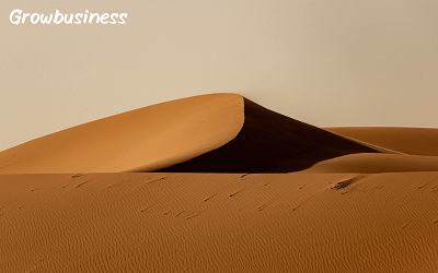 Sahara Serenity Care Business
